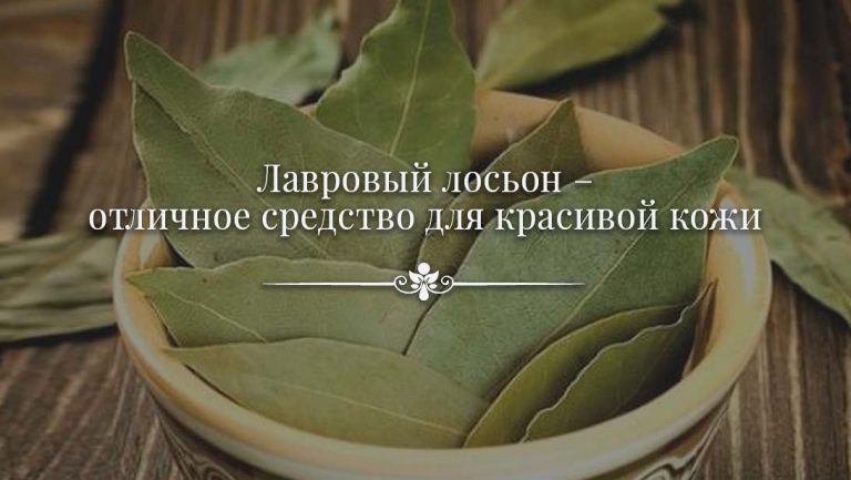 Лосьон от прыщей из лавровых листьев отзывы Лосьон от прыщей из лавровых листьев отзывы